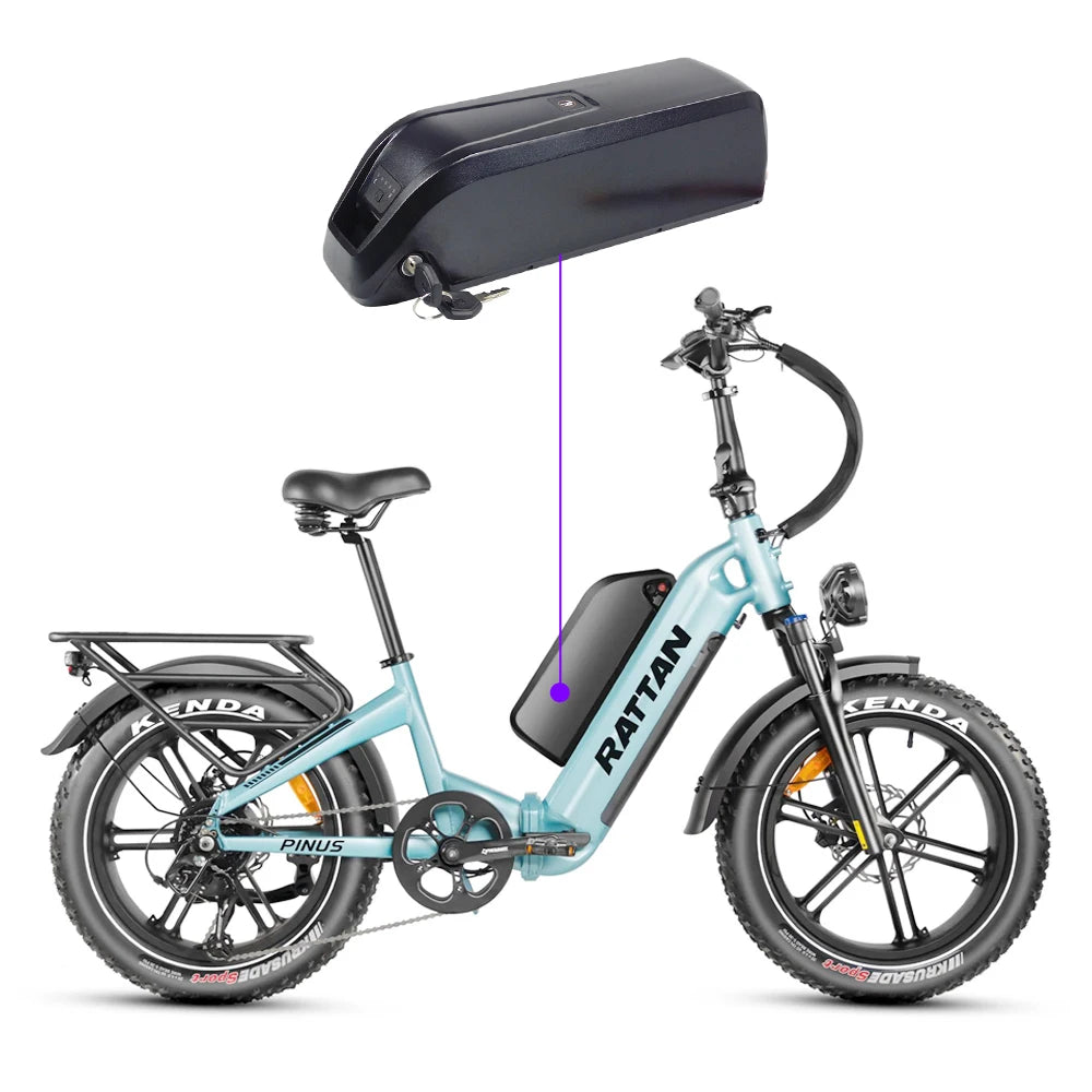 ridstar and macfox battery