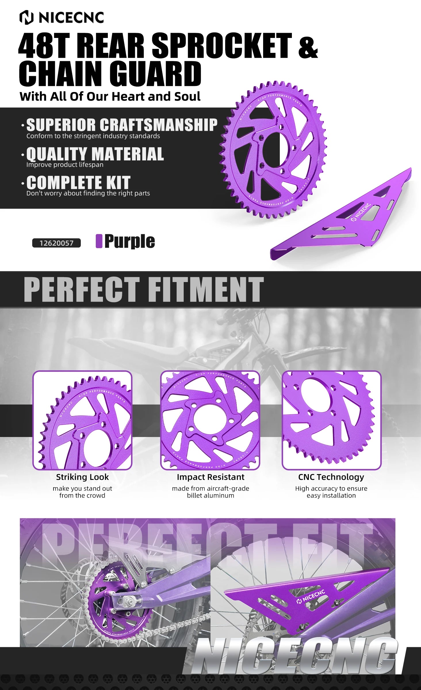 chain protector and rotor