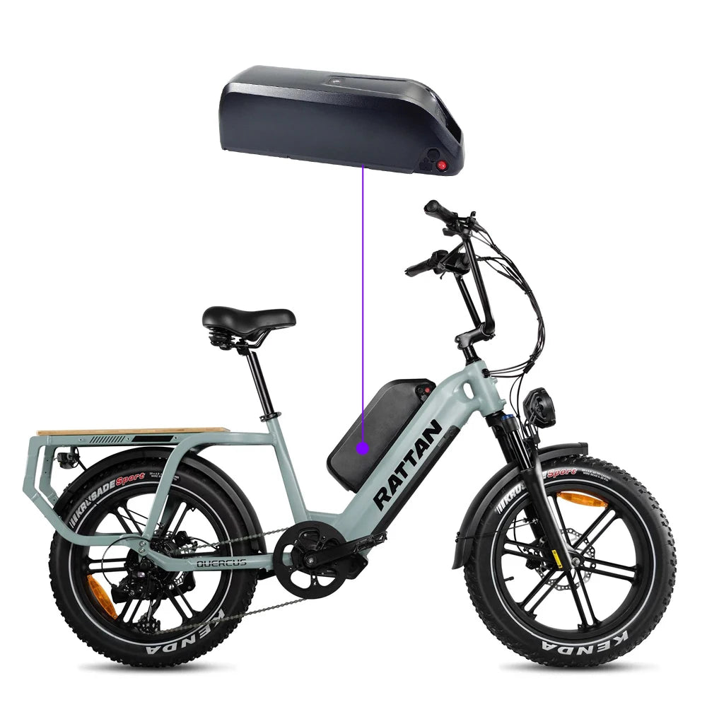 ridstar and macfox battery