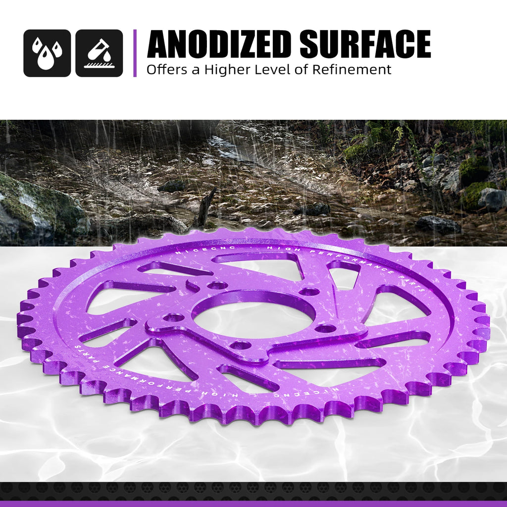 chain protector and rotor